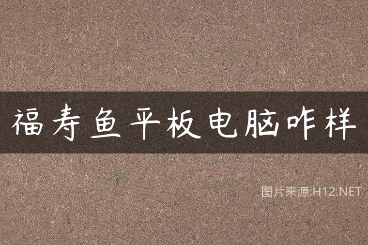 福寿鱼平板电脑咋样