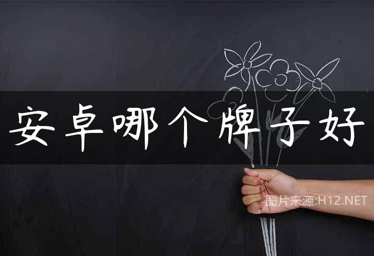 安卓哪个牌子好