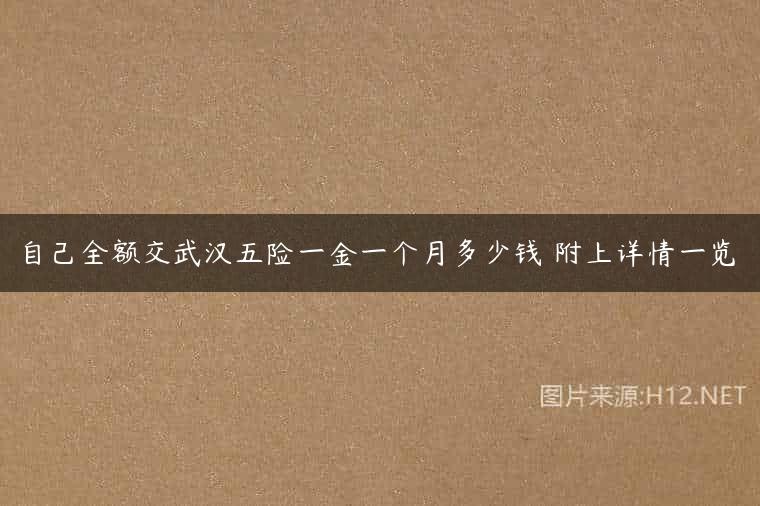 自己全额交武汉五险一金一个月多少钱 附上详情一览