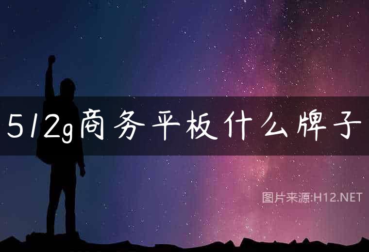 512g商务平板什么牌子