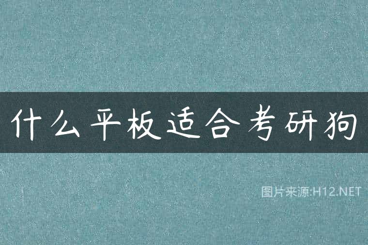 什么平板适合考研狗
