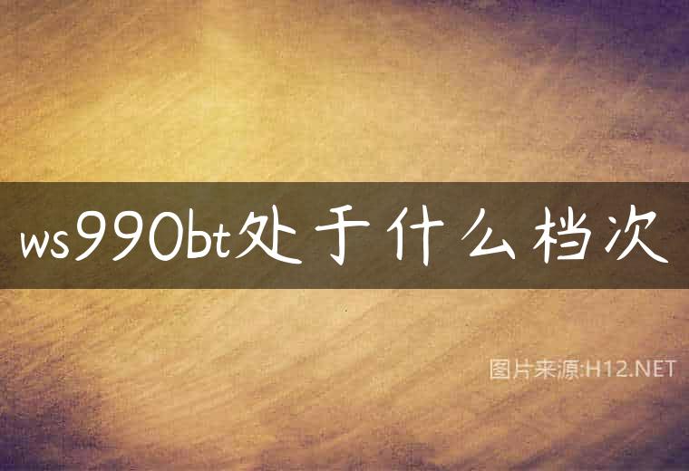 ws990bt处于什么档次
