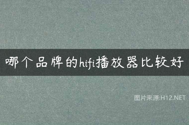 哪个品牌的hifi播放器比较好