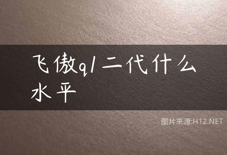 飞傲q1二代什么水平