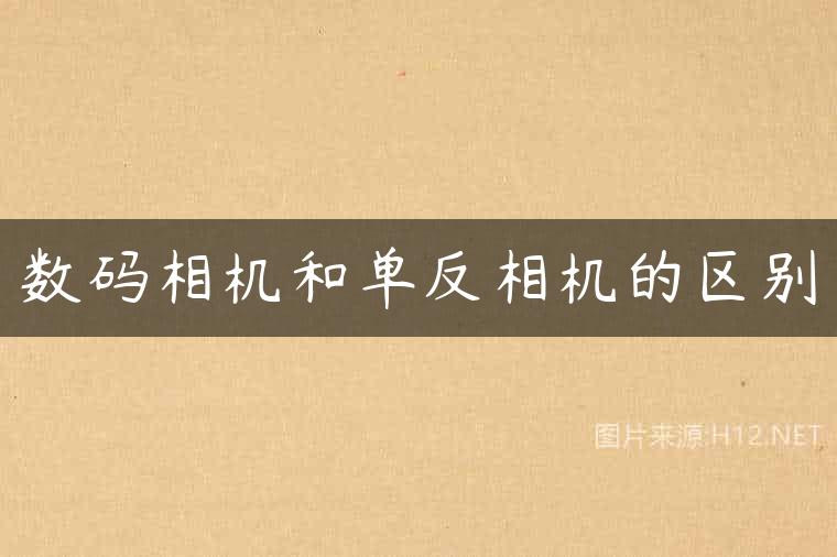 数码相机和单反相机的区别