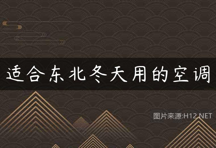 适合东北冬天用的空调