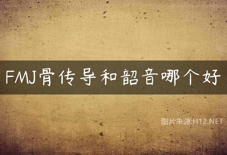 FMJ骨传导和韶音哪个好