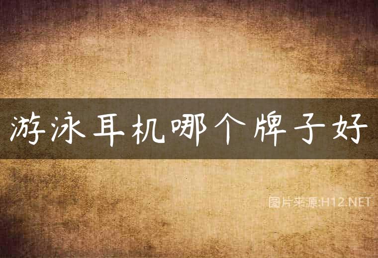 游泳耳机哪个牌子好