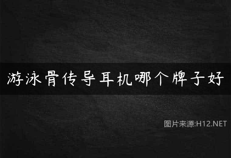 游泳骨传导耳机哪个牌子好