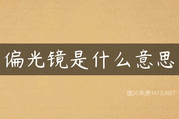 偏光镜是什么意思