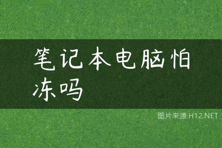 笔记本电脑怕冻吗