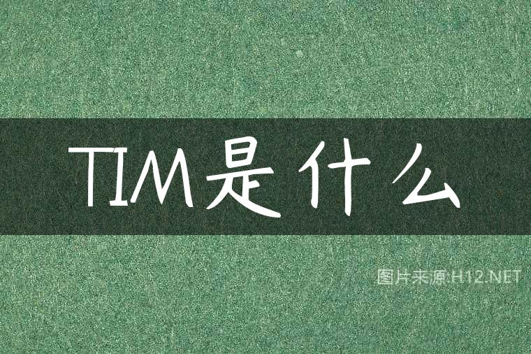 TIM是什么