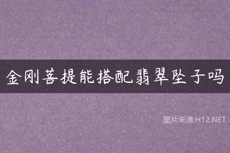 金刚菩提能搭配翡翠坠子吗