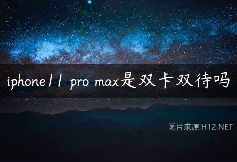 iphone11 pro max是双卡双待吗