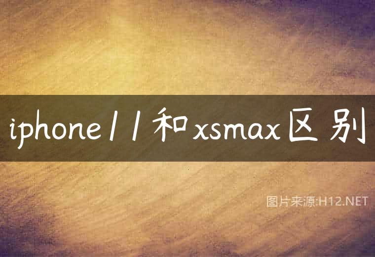 iphone11和xsmax区别