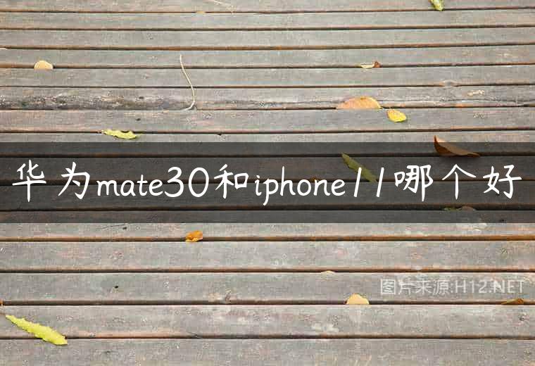 华为mate30和iphone11哪个好