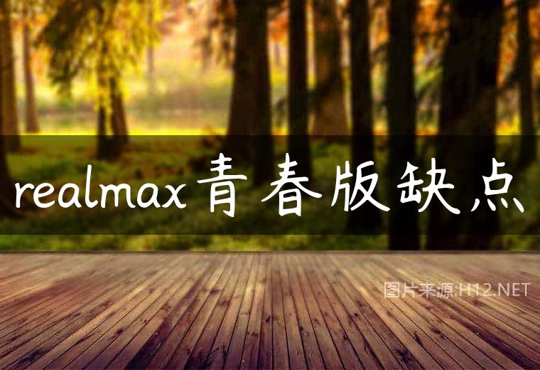 realmax青春版缺点