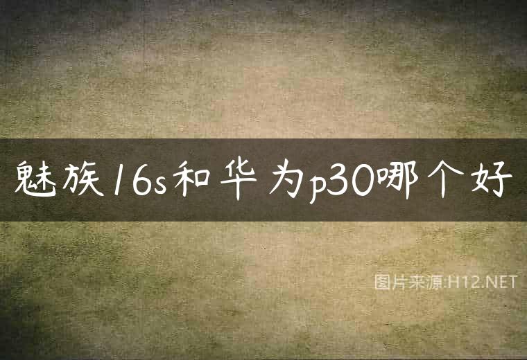 魅族16s和华为p30哪个好