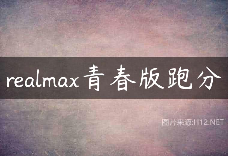 realmax青春版跑分