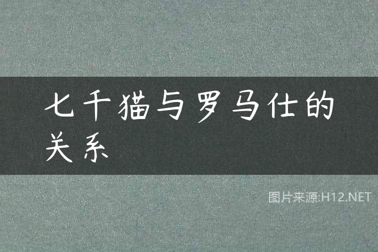 七千猫与罗马仕的关系