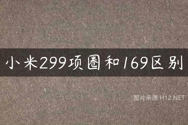 小米299项圈和169区别