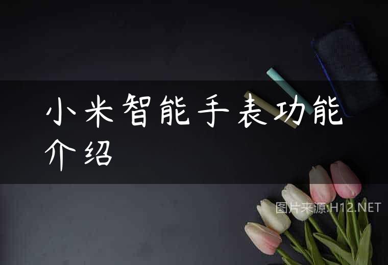 小米智能手表功能介绍