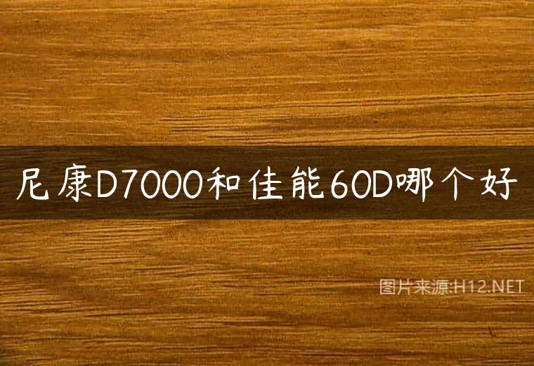 尼康D7000和佳能60D哪个好