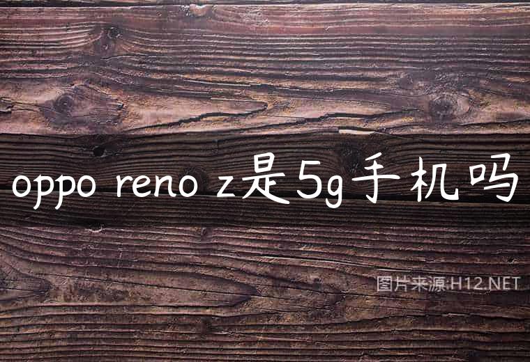 oppo reno z是5g手机吗