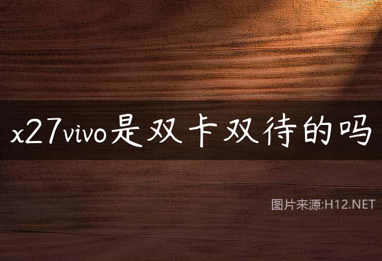 x27vivo是双卡双待的吗