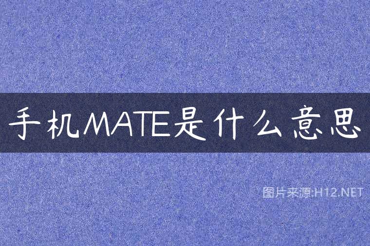 手机MATE是什么意思