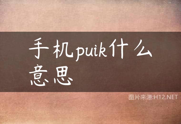 手机puik什么意思