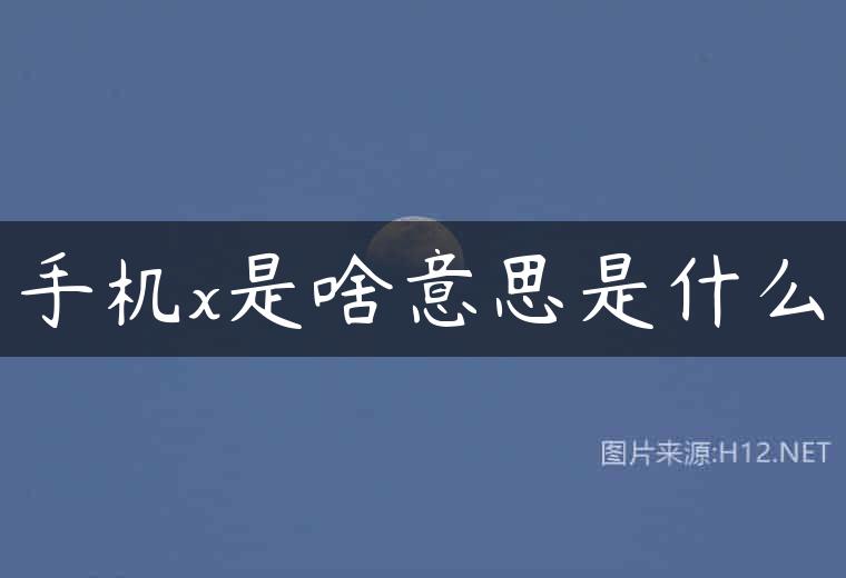 手机x是啥意思是什么