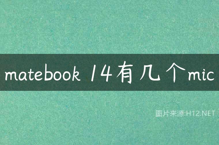 matebook 14有几个mic