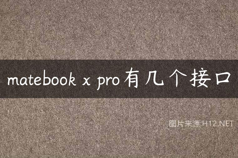 matebook x pro有几个接口