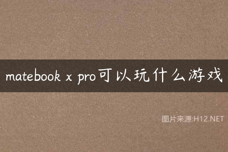 matebook x pro可以玩什么游戏