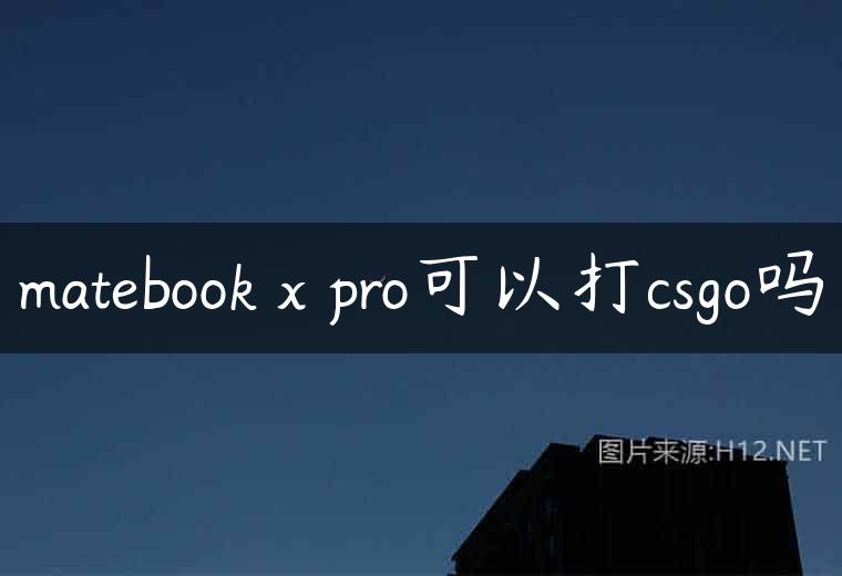 matebook x pro可以打csgo吗