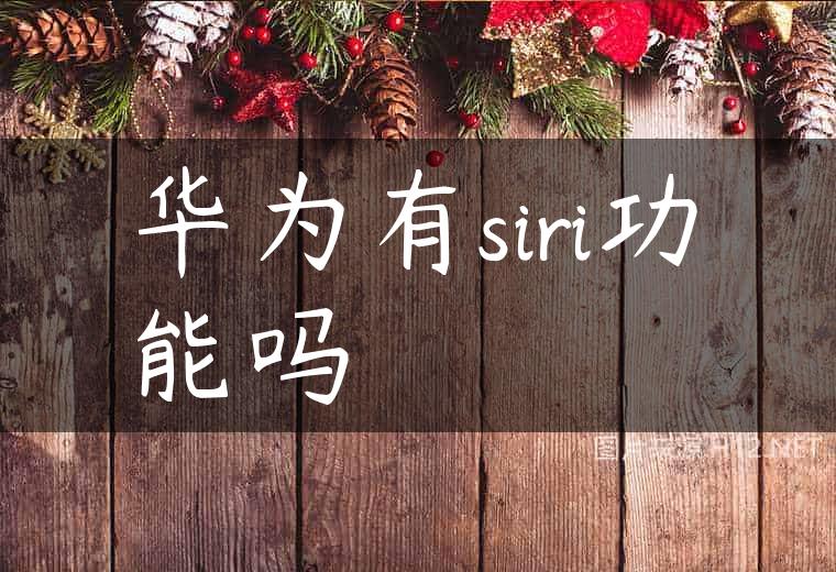 华为有siri功能吗