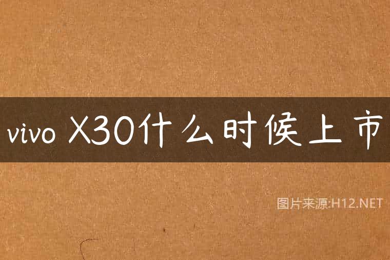 vivo X30什么时候上市