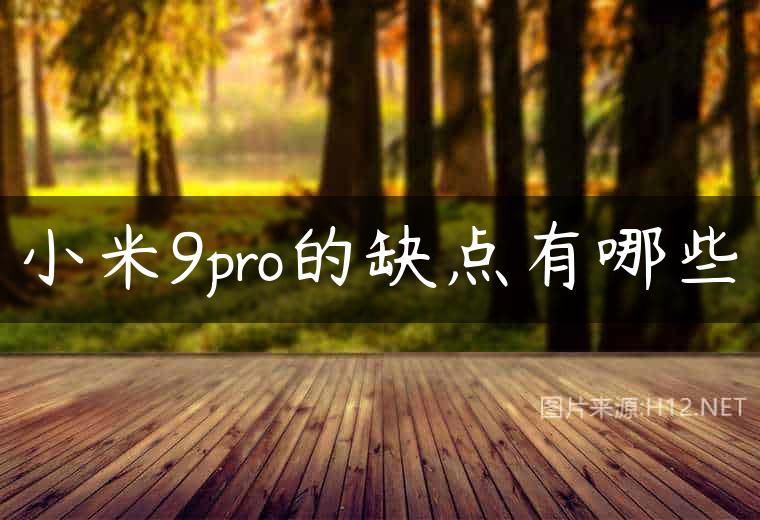 小米9pro的缺点有哪些