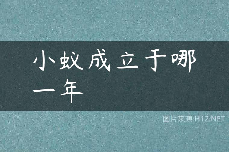 小蚁成立于哪一年