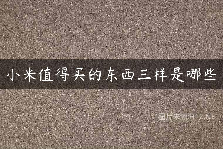 小米值得买的东西三样是哪些