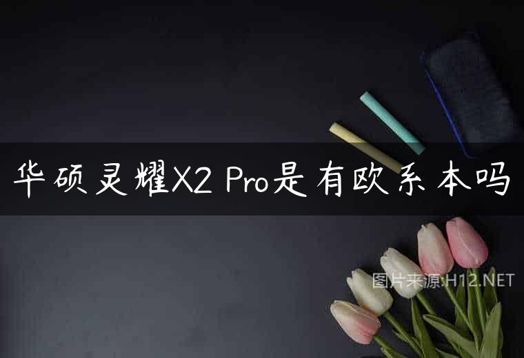 华硕灵耀X2 Pro是有欧系本吗