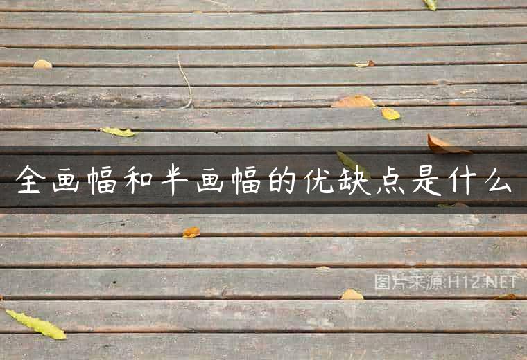 全画幅和半画幅的优缺点是什么
