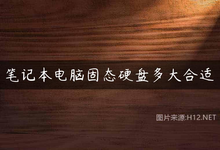 笔记本电脑固态硬盘多大合适