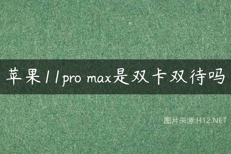 苹果11pro max是双卡双待吗