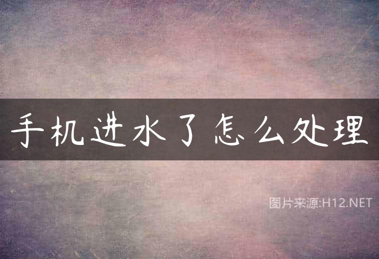 手机进水了怎么处理