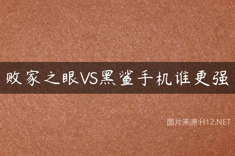 败家之眼VS黑鲨手机谁更强