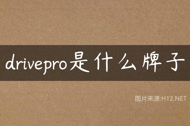 drivepro是什么牌子