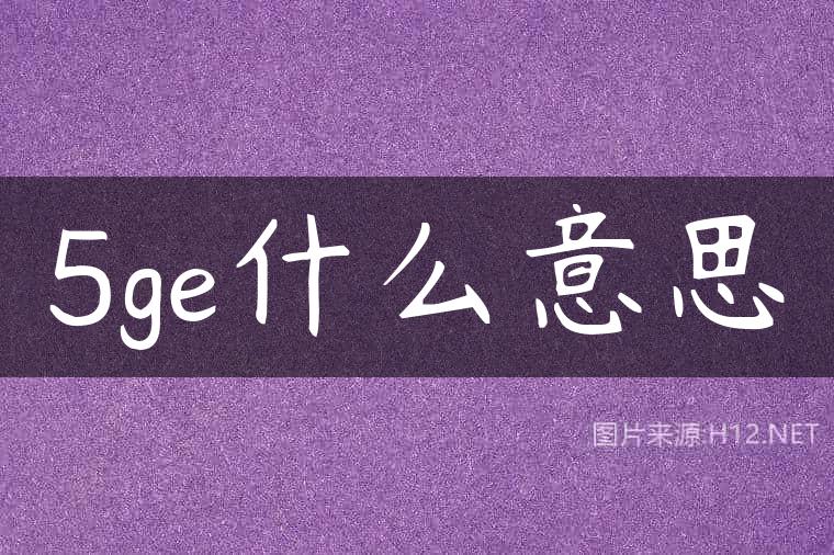 5ge什么意思