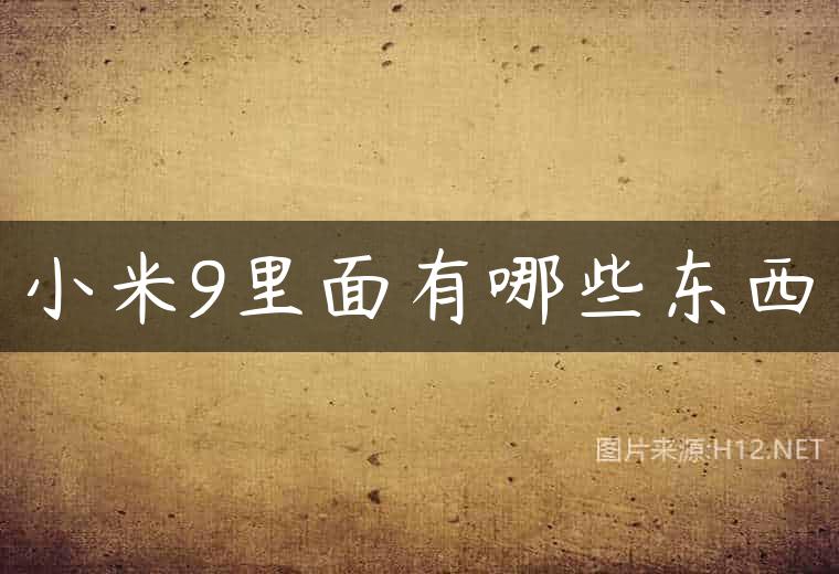 小米9里面有哪些东西